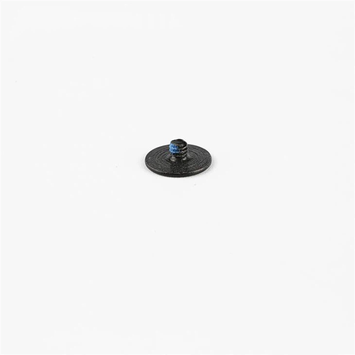 Flat head micro black mini screw